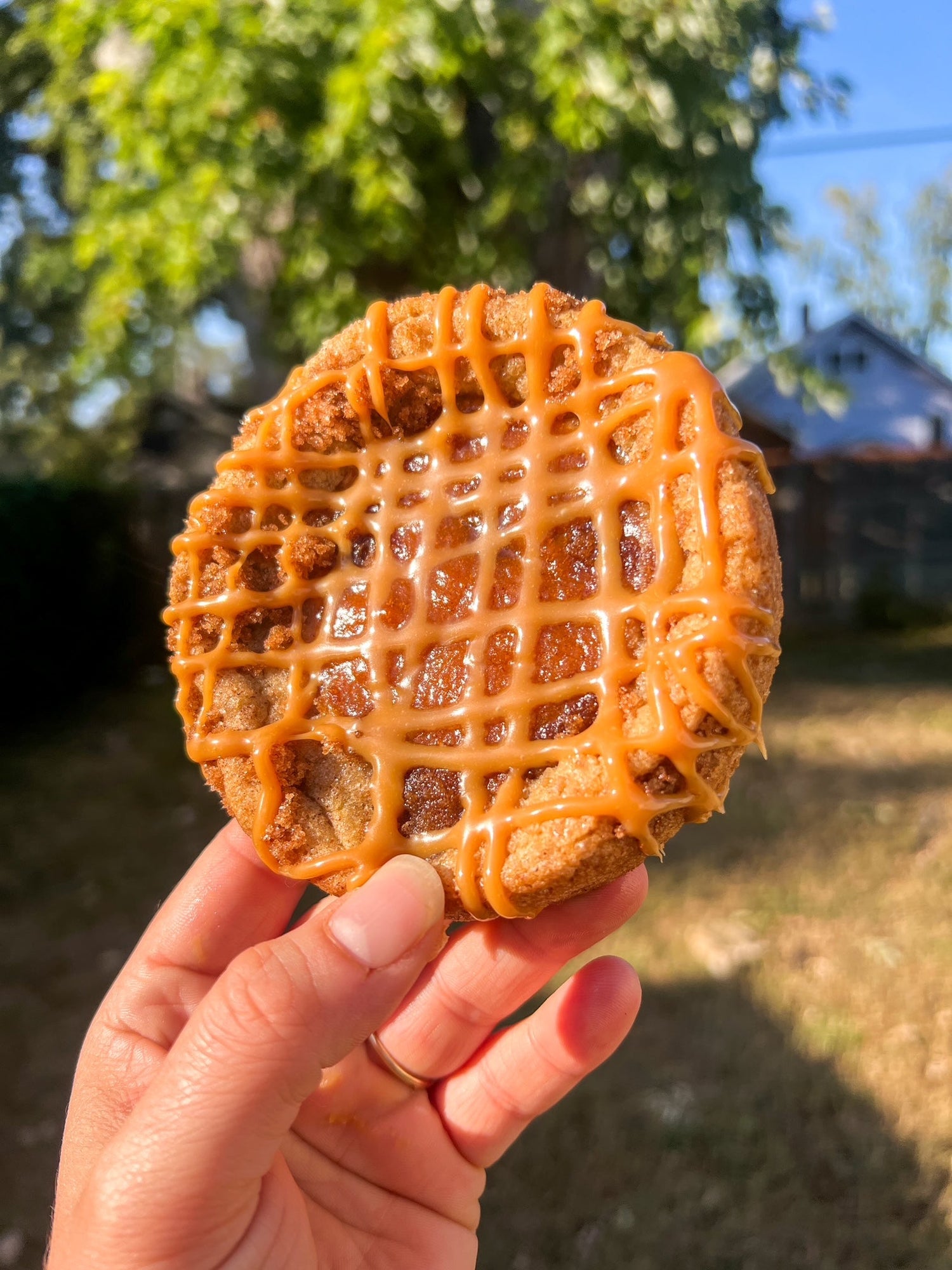 Special of the Week: Caramel Pumpkin Chai Snickerdoodles