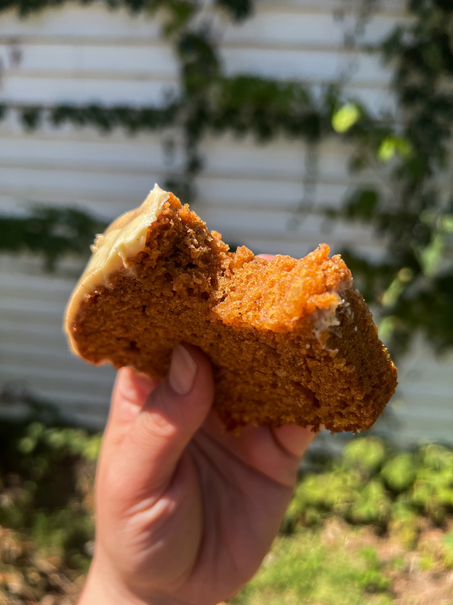 SPICED Pumpkin Loaf Cake with Brown Sugar Frosting