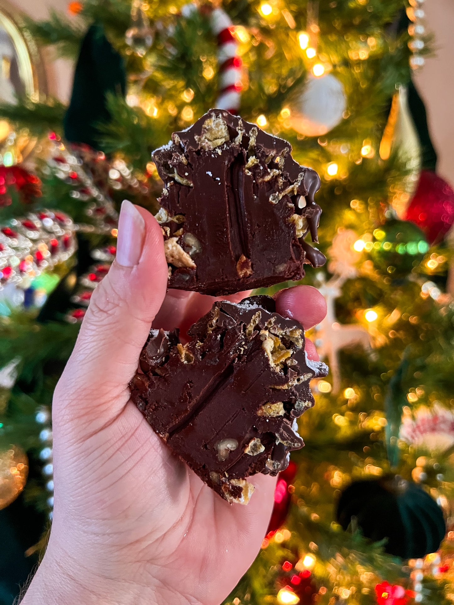Winter Wonderland Pinecone Truffles