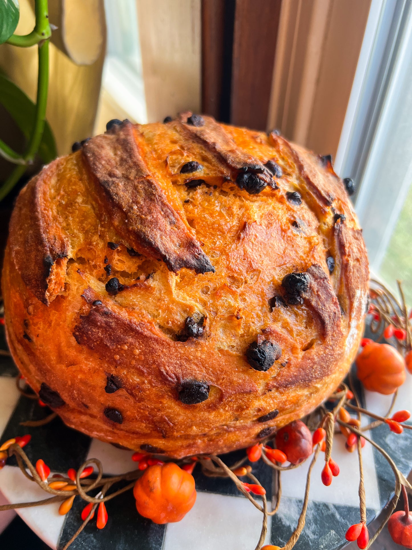 Artisan Sourdough Breads