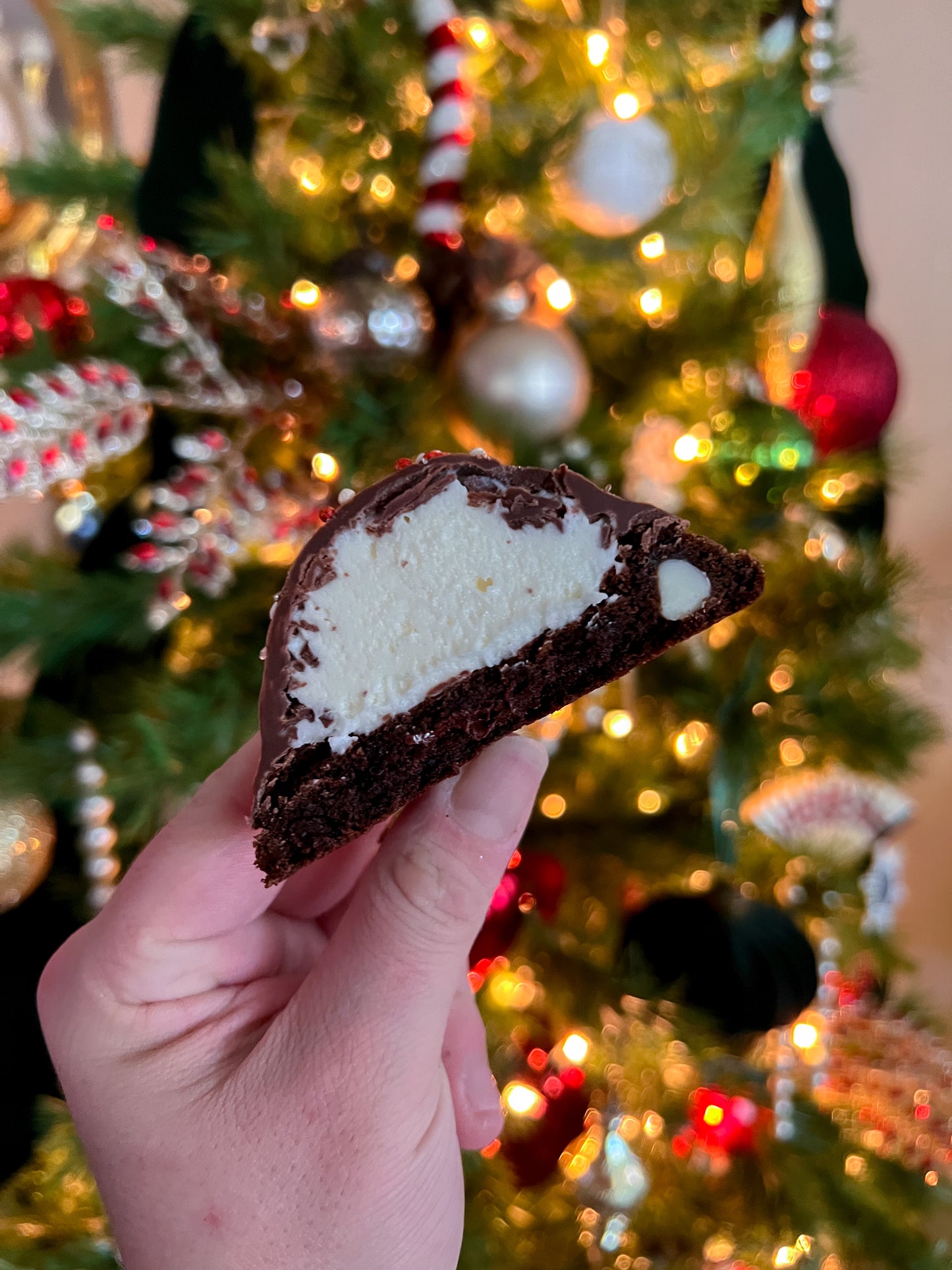 Santa’s Hot Cocoa Cookies