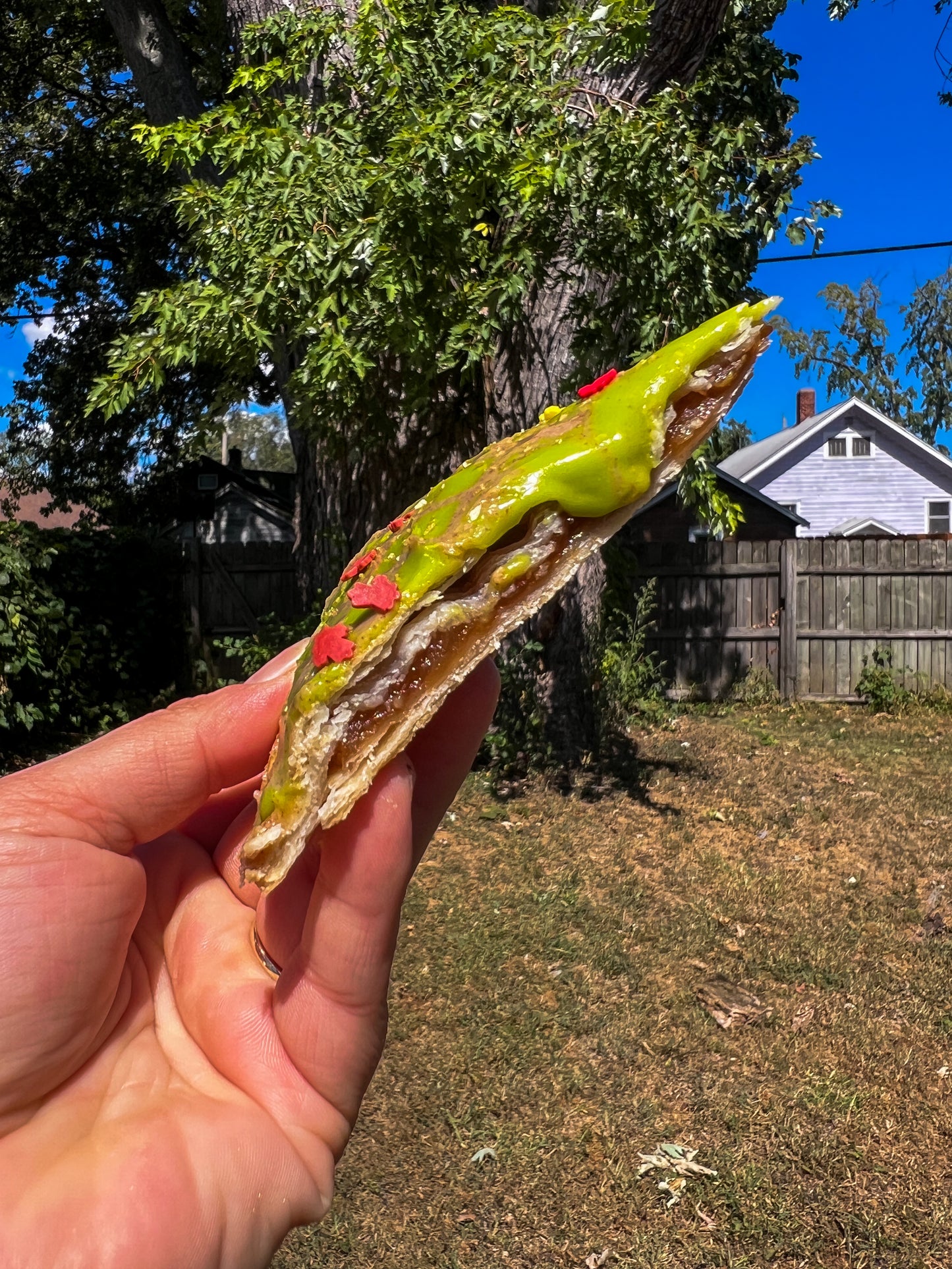 Homemade Pop-Tarts!