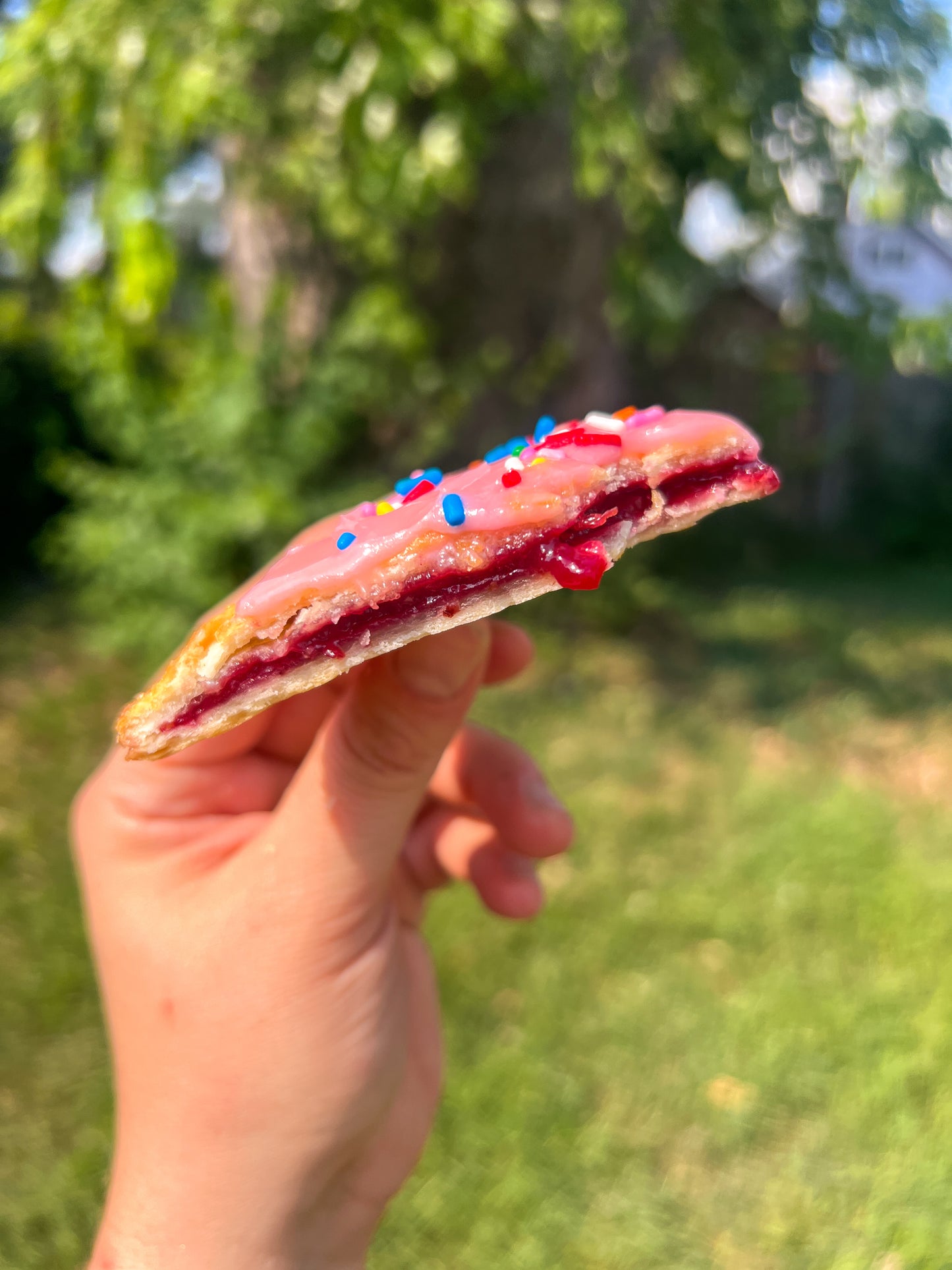 Homemade Pop-Tarts!