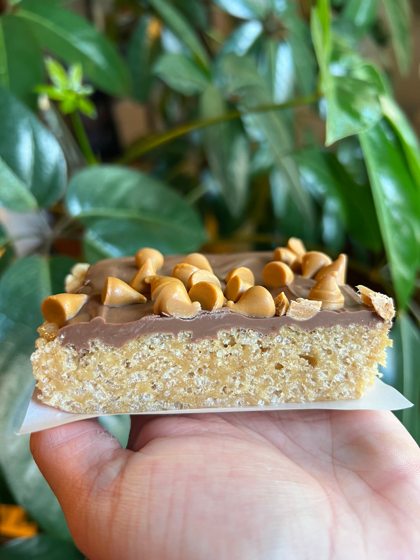 Gourmet Treat Bars