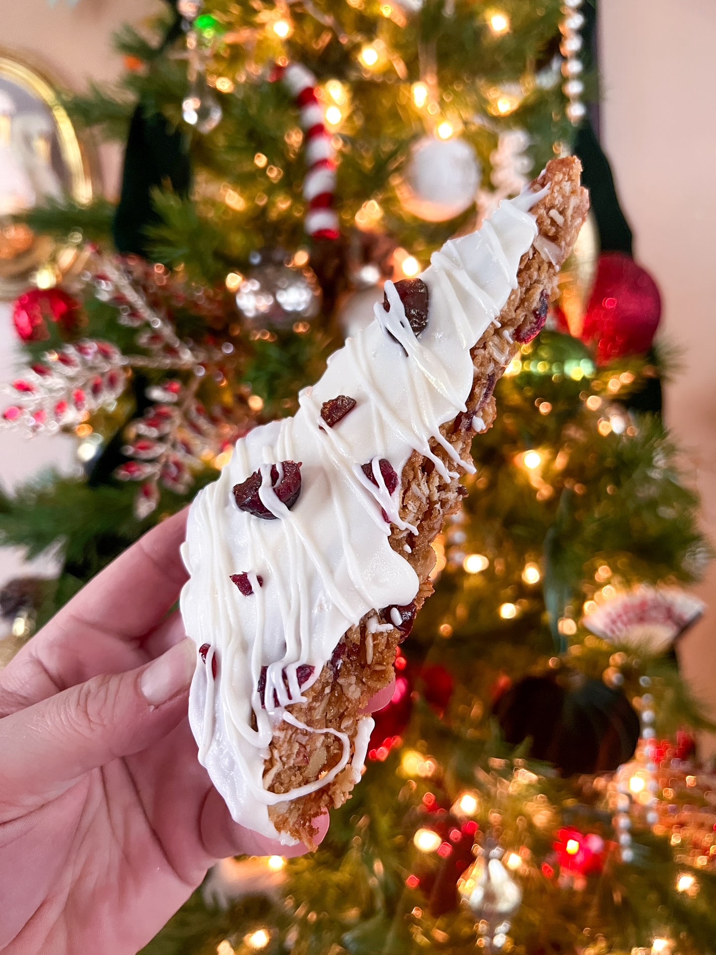 Frosted & Spiced Cranberry Oatmeal Bars