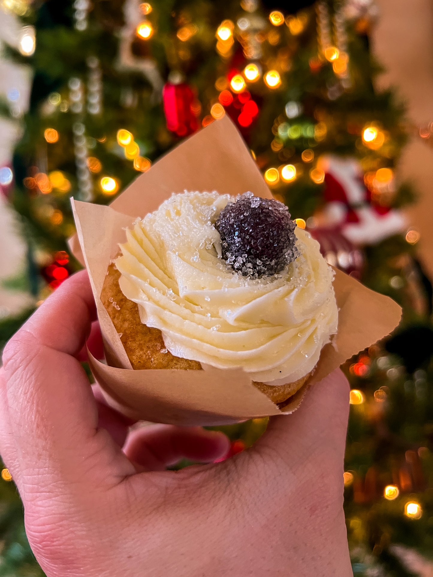 Sugared Cranberry & Orange Spice Cupcakes